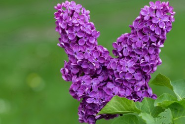 无锡江阴空放私借|企业资金短拆|无锡江阴私人放款快速借钱