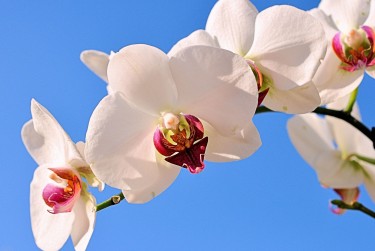 无锡江阴空放急用钱贷款|生意借钱周转|无锡江阴急用钱个人贷款