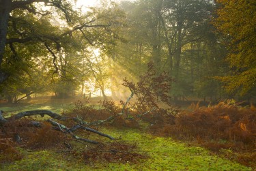 无锡江阴空放零用贷|个人信用借款|无锡江阴私人24小时借钱